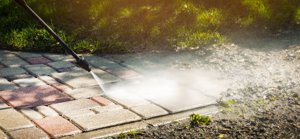 Best Roof Washing  in Bridgewater, VA